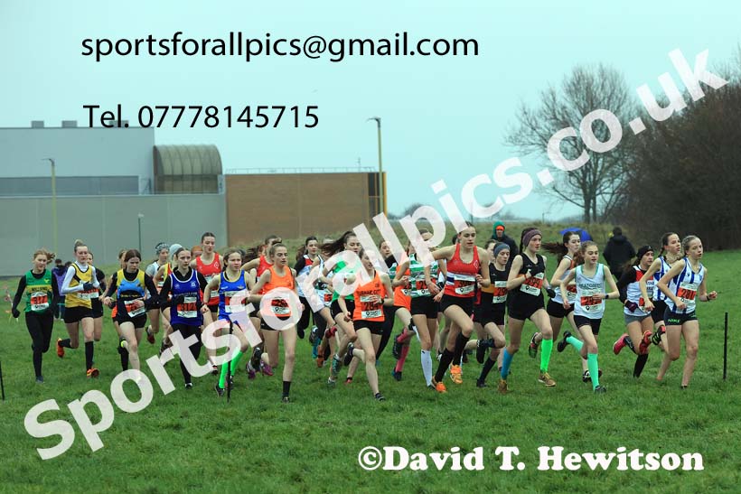 Girls under-15s 2023 North Eastern Cross Country Champs., Temple Park, South Shields. Photo: David T. Hewitson/Sports for All Pics